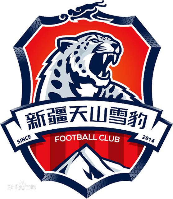 新疆雪豹的最新比赛,足协杯新疆vs恒大