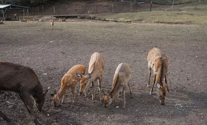 年平均气温25度左右的城市,年平均气温18度城市