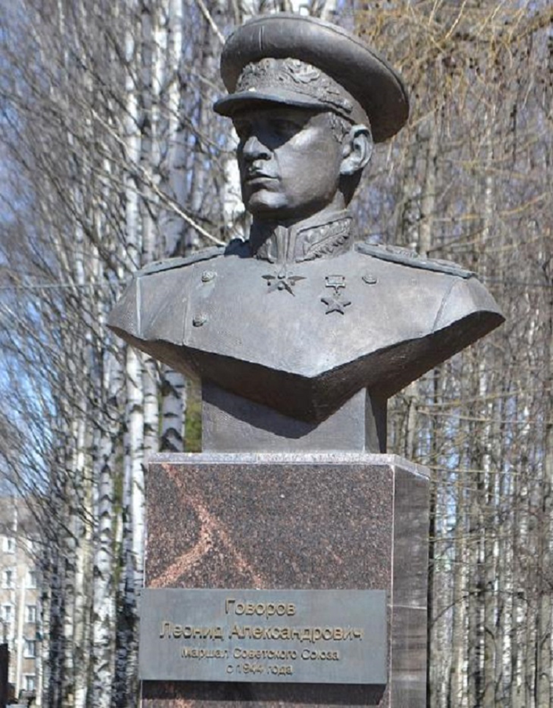 戈洛夫金苏联元帅,戈沃洛夫苏联元帅