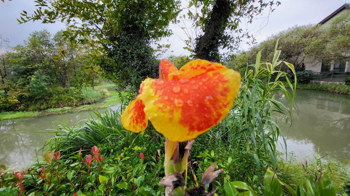 三星zfold35g测评,三星折叠屏zfold3