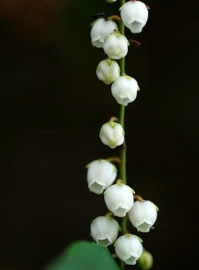 12月20日早安正能量阳光的说说,阳光心态正能量短句子很燃很励志