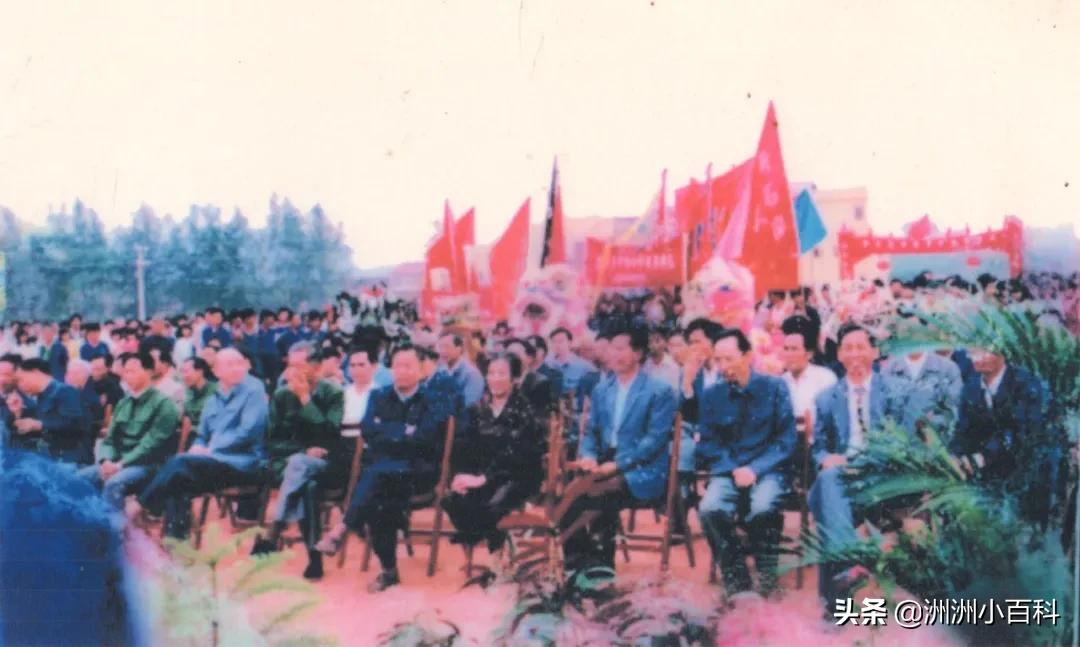 新兴县华侨中学学校介绍,新兴华侨中学历史