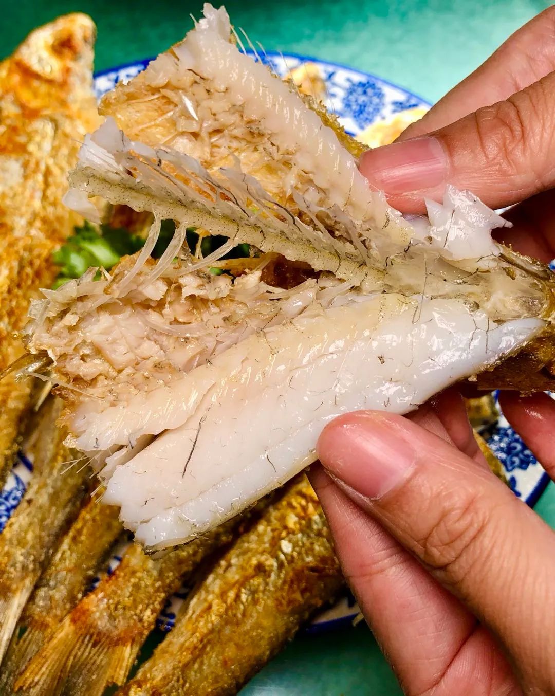 在长春想吃海鲜去哪里,长春哪家鱼馆江鱼好吃