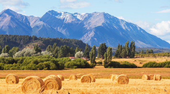 关键时刻阿根廷,阿根廷未雨绸缪