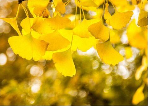 最新适合穷人创业的好项目赚钱,农村创业5大暴利行业资讯