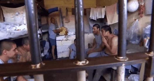 进牢房包吃包住,大学生进监狱待遇会好点吗