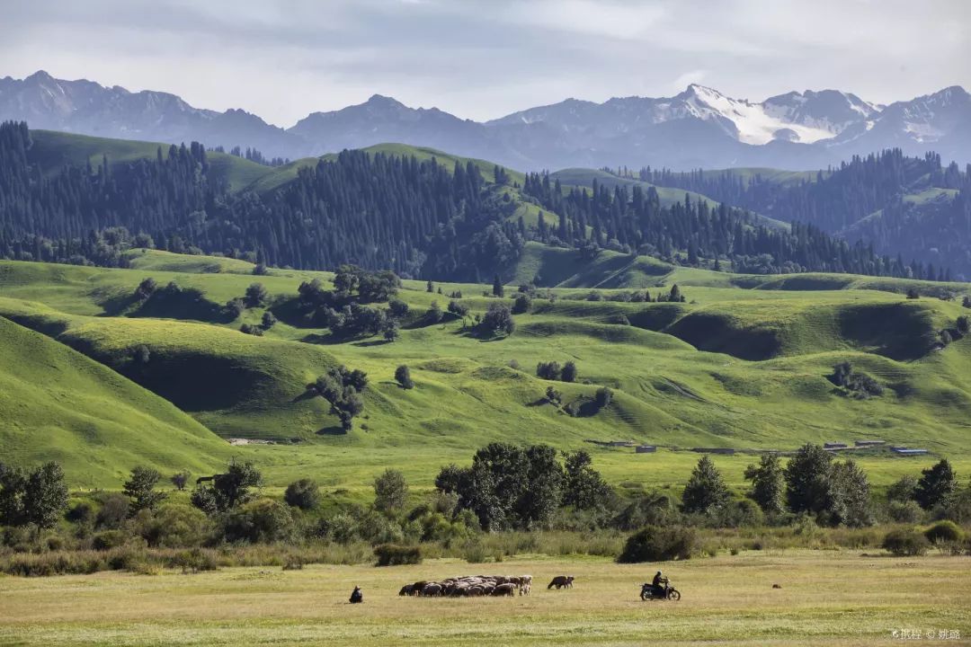 中国10条最美逆天的公路,一年仅开放四个月的独库公路