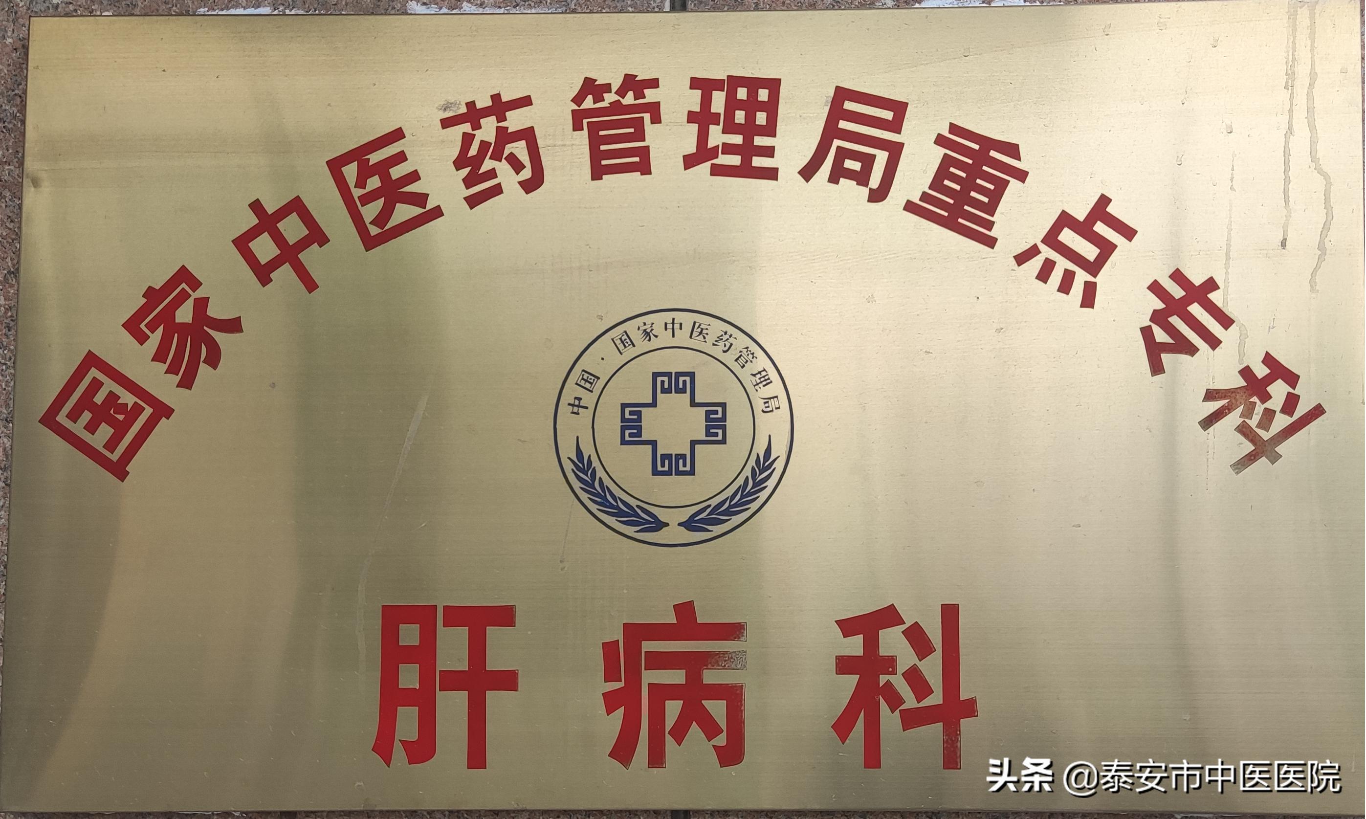 传承精华守正创新市中医医院,中医药大学第一附属医院肝病科