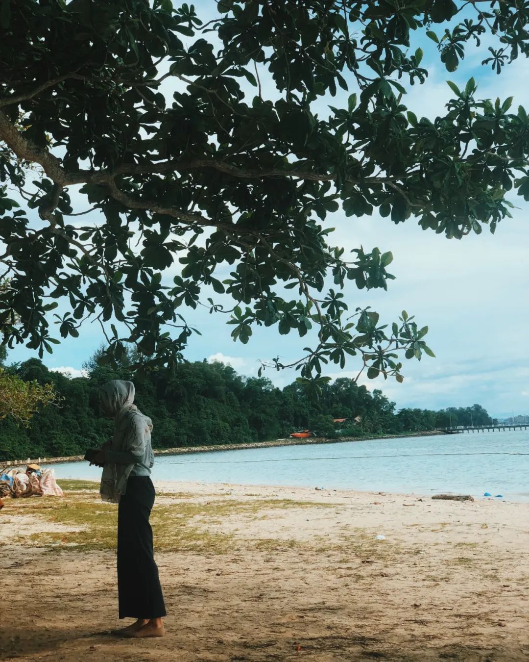 出不了门的心情,出不了门的日子让人心绪难平