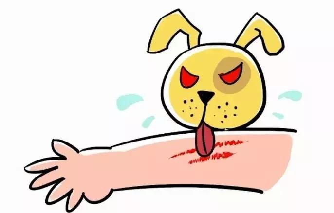 关于狂犬病你不得不知的几个问题,关于狂犬病需要知道的二三事