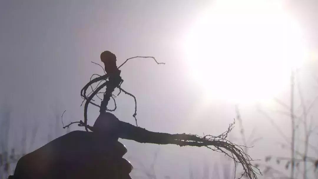 他用9年颠覆一个行业，获得千万财富的背后，竟是因为……