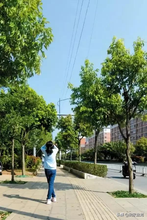 盘龙城空气质量怎么样,盘龙城空气好的地方