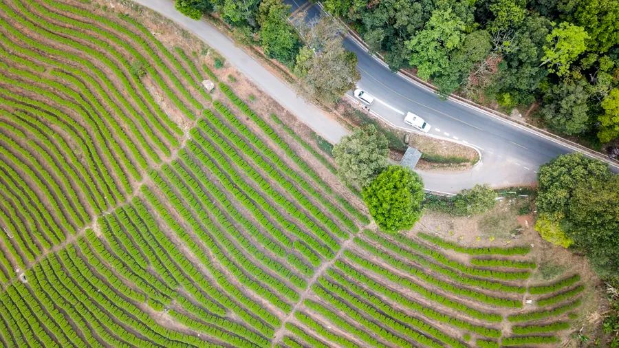 告庄西双景游玩多长时间,告庄西双景值得去吗