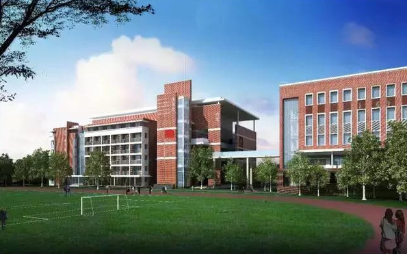 龙岗区私立小学排名前十,龙岗区小学质量排名一览表