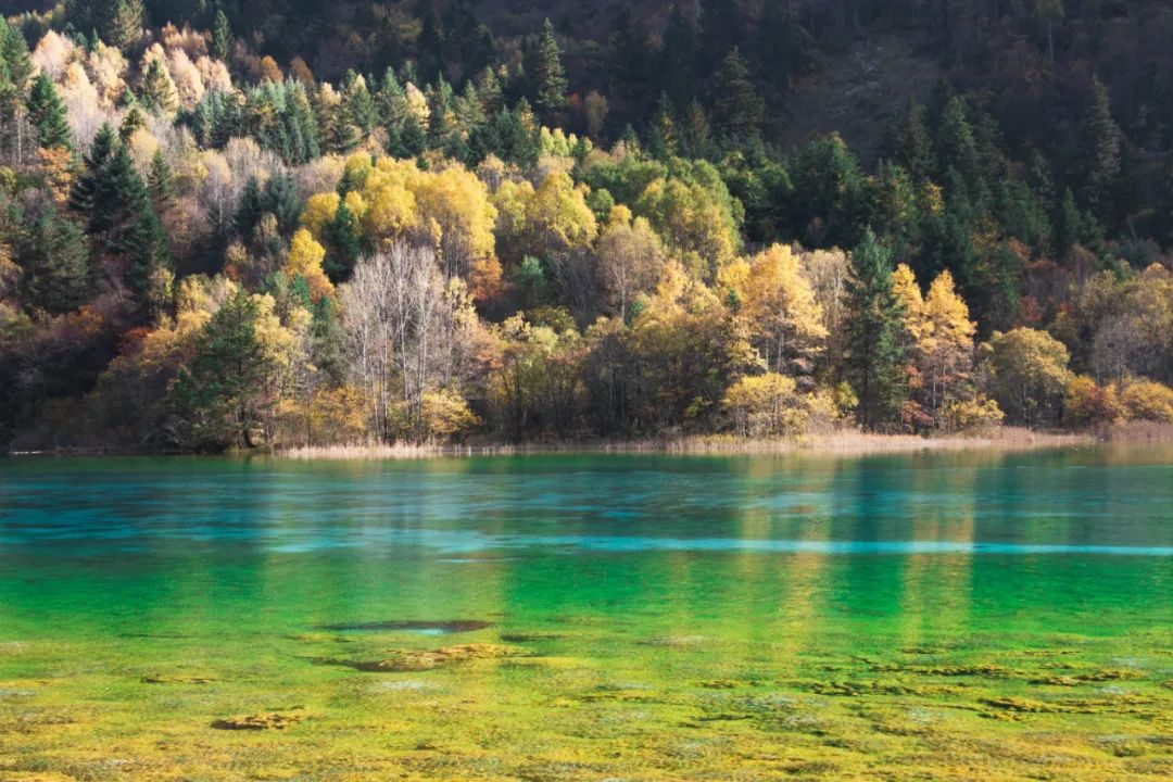 2017年九寨沟地震视频,地震前的九寨沟人间仙境