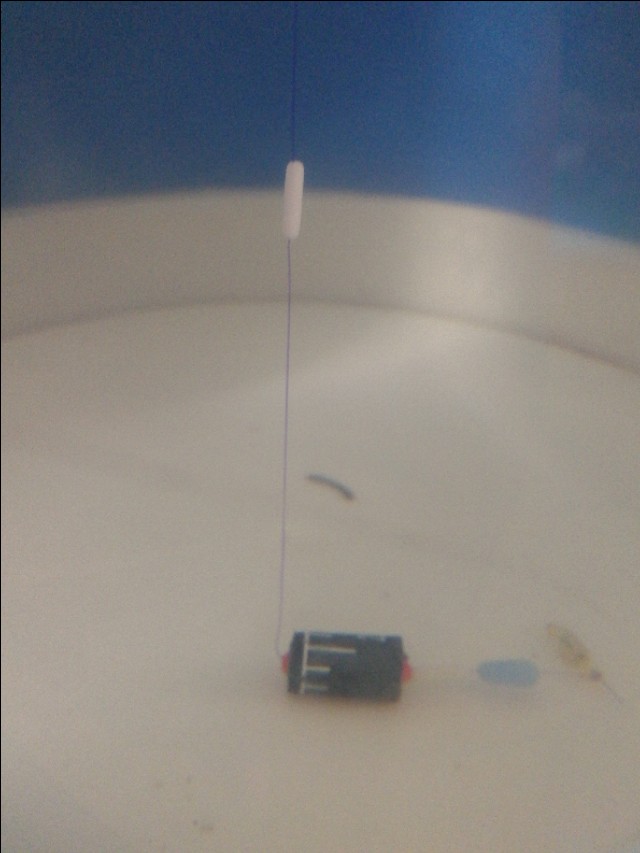 走水严重滑铅钓法野钓视频,钓鱼走水钓底跑铅要多重才合适