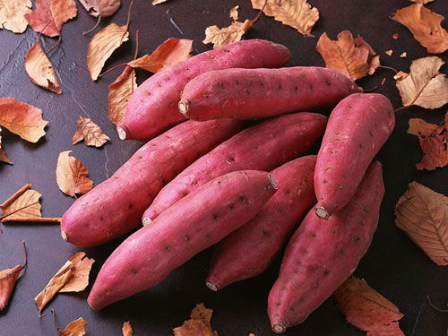 吃什么食物可以快速消除痔疮,痔疮清热解毒的药有哪些