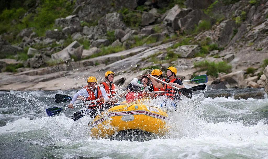 悟空研学社,悟空研学研究所