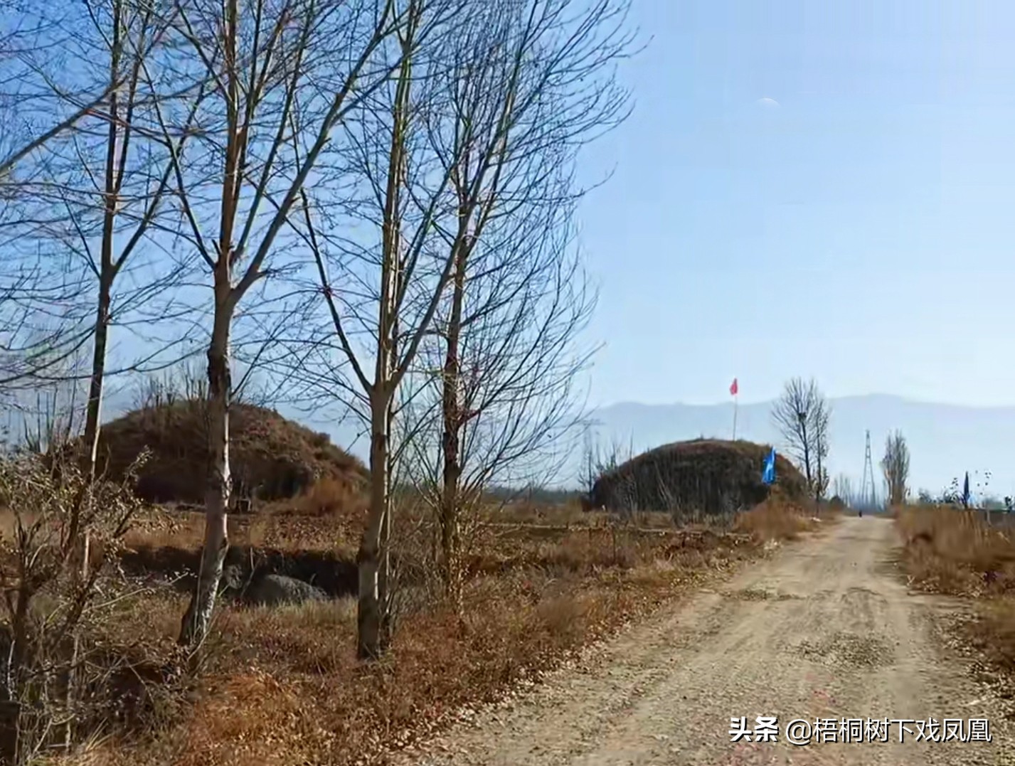 邀请去山东盗墓，“保底赚10万”，一网友动心了，见面后不敢干了