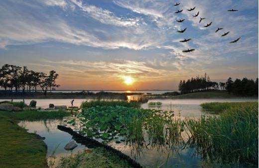 江苏苏州5a景区全名单,苏州市5a景区有哪几个