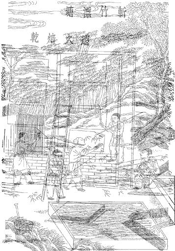 造纸印刷板块分析,造纸印刷股票