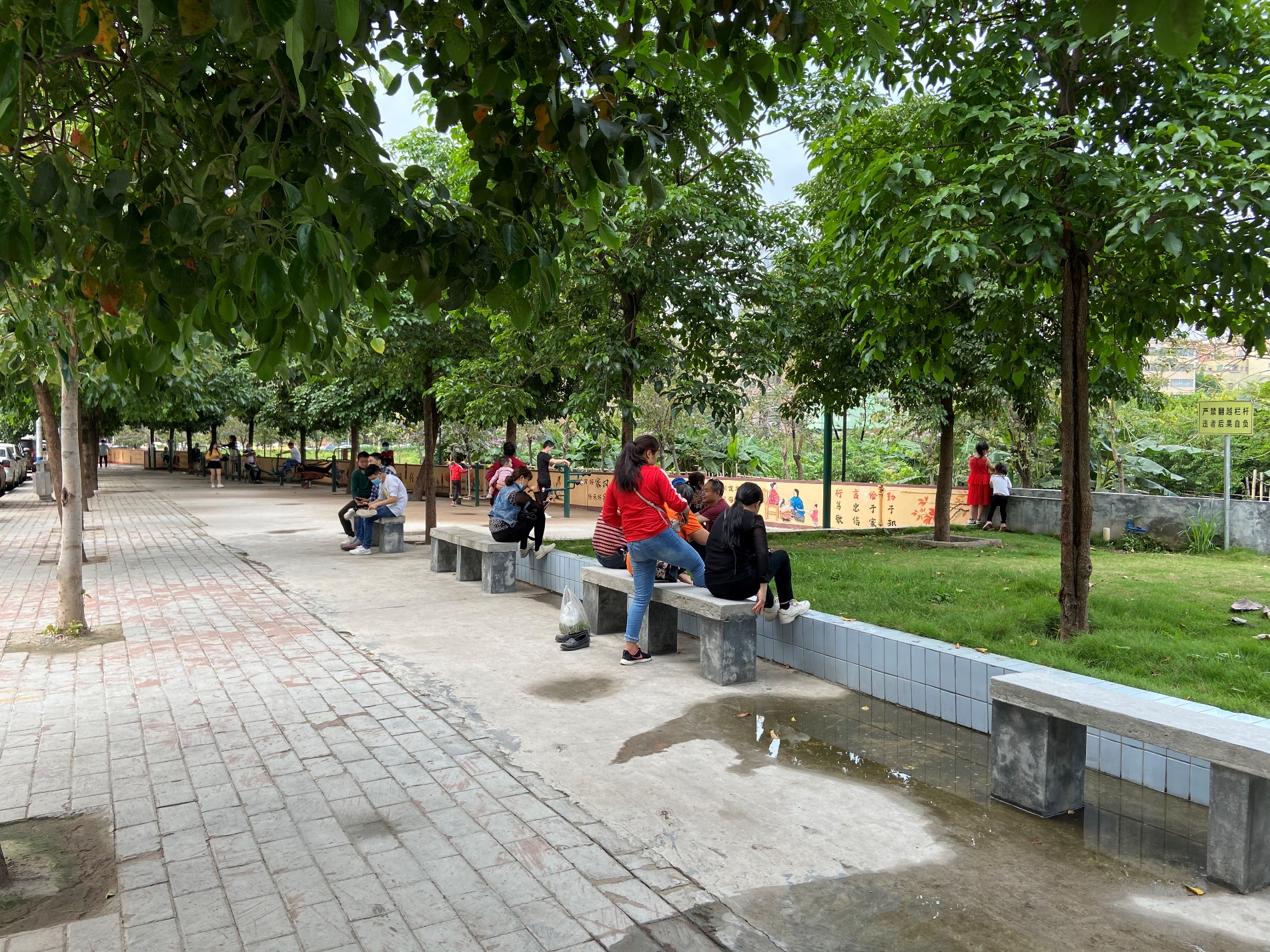 白云红星改造,白云区开展专项整治行动