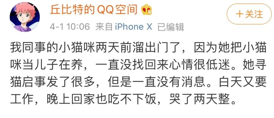 我家猫送亲戚了准备再养一只猫,给我家猫新交了一个嘚瑟的朋友