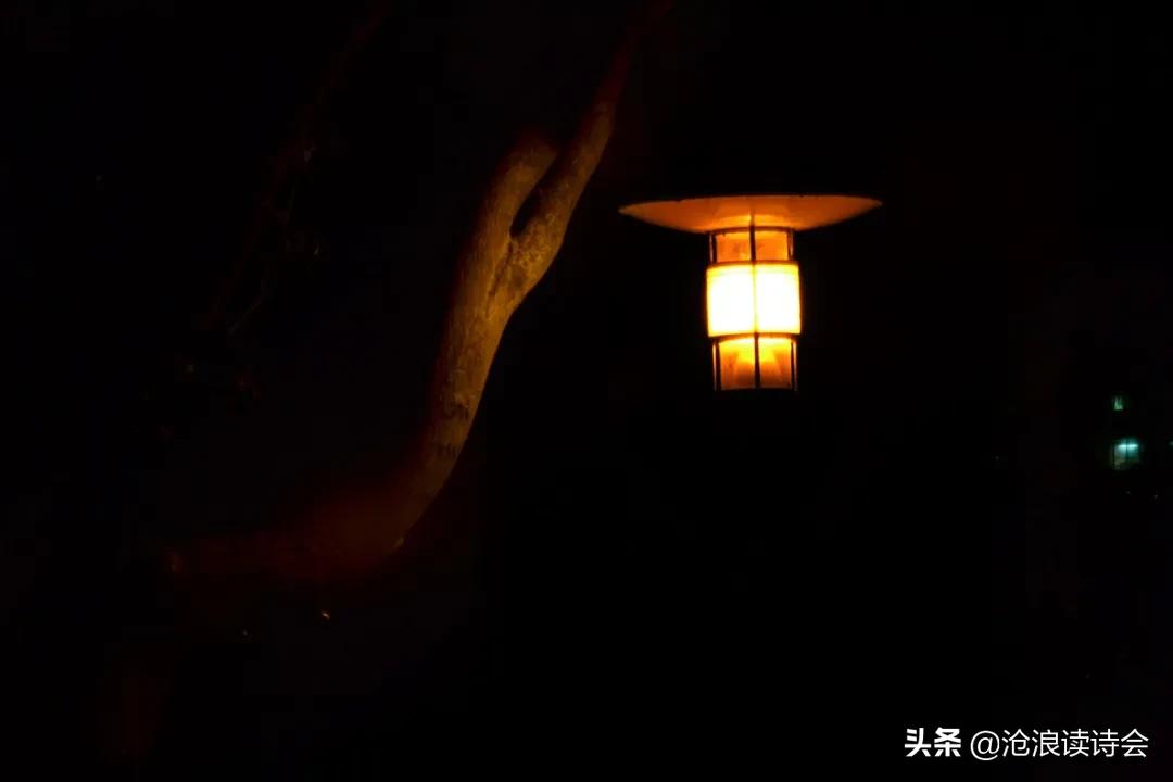 你为何写不出好诗？因为缺乏想象力，王和尚讲诗：用好四招写妙句