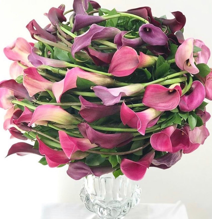 閰掑簵杩庡鑺卞崏鎻掕姳,閰掑簵濠氬簡鑺辨潫