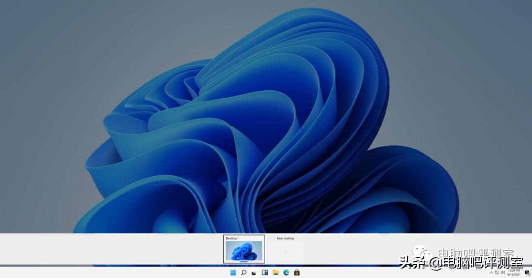 windows11开发预览版,windows11预览版哪个好