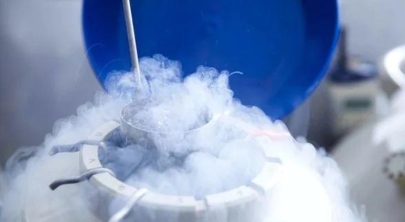 取完卵后腹水吃什么食物最好,取了34个卵一定会产生腹水吗