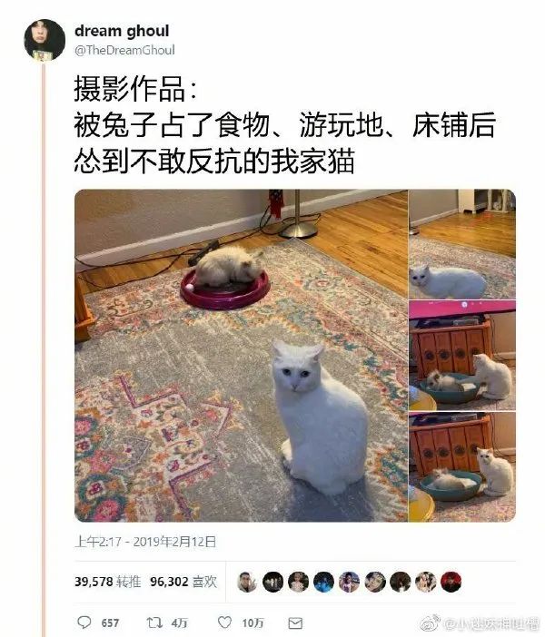 来自外卖小哥的霸道段子,关于外卖小哥的挺火的段子