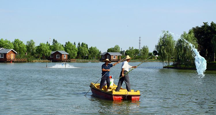 家鱼塘冬天怎样防止鱼冻死,冬季鱼塘养鱼最怕什么