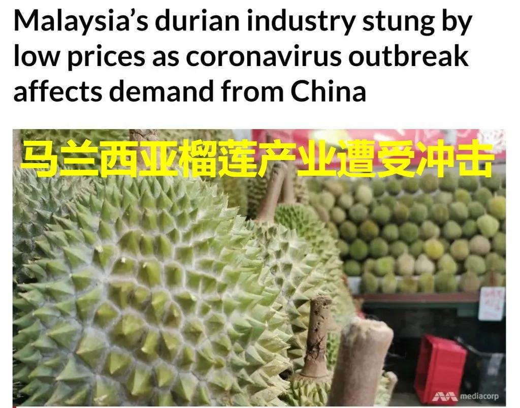 龙虾没人吃,龙虾不吃东西