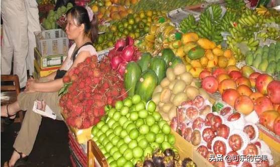 现在进石家庄批发市场要什么 (石家庄各个批发市场在哪)