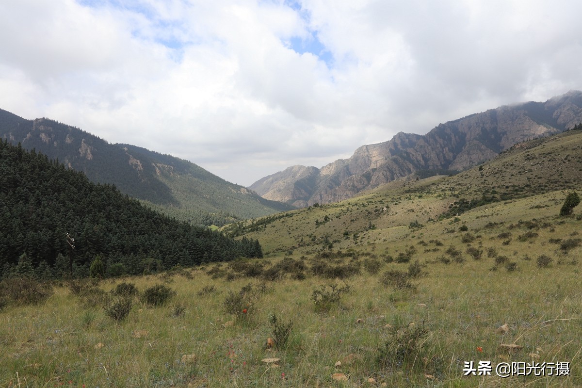 静谧森林和沙漠交界处,静谧森林红色石头
