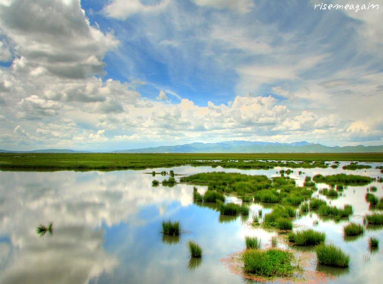 这个夏天，想和你一起去若尔盖大草原！一篇文章，让你读懂若尔盖