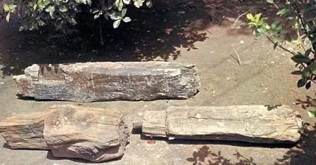 中国的阿木爷爷,63岁阿木爷爷火到国外