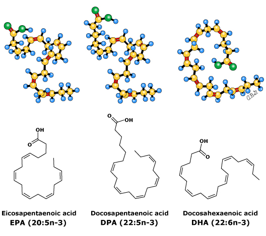 医生说鱼油的功效与作用,长期吃深海鱼油软胶囊有什么好处