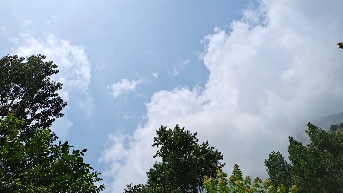 <html>
<head><title>502BadGateway</title></head>
<body>
<center><h1>502BadGateway</h1></center>
<hr><center>nginx</center>
</body>
</html>
<!--apaddingtodisableMSIEandChromefriendlyerrorpage-->
<!--apaddingtodisableMSIEandChromefriendlyerrorpage-->
<!--apaddingtodisableMSIEandChromefriendlyerrorpage-->
<!--apaddingtodisableMSIEandChromefriendlyerrorpage-->
<!--apaddingtodisableMSIEandChromefriendlyerrorpage-->
<!--apaddingtodisableMSIEandChromefriendlyerrorpage-->
