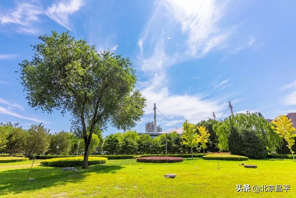 北京庆七一花坛摆放图片,北京长安街迎国庆立体花坛亮相