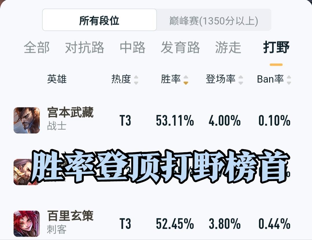 宫本武藏为什么出场率低,宫本武藏全局思路与打法