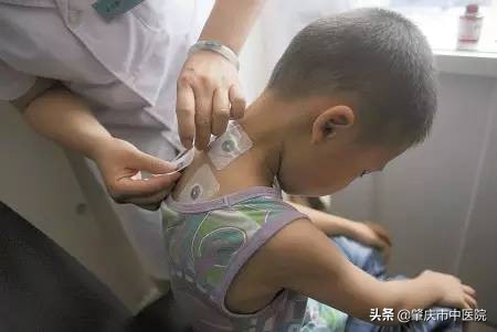 广东肇庆中医院,广东省肇庆市中医医院