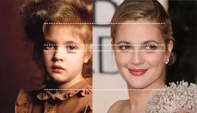 中国标准美女的脸型,美女的标准脸分布图