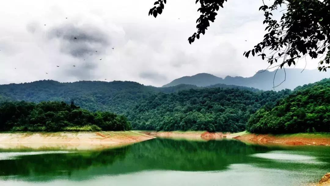 云南中越边境小城,云南新兴网红城市