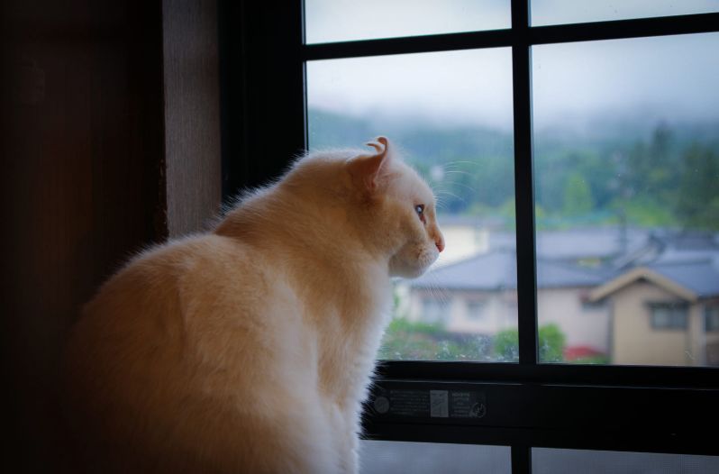 如何在福冈玩出逼格,福冈攻略自由行