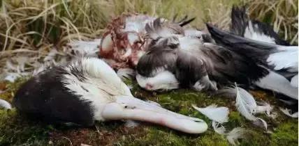 巴厘岛最垃圾的海滩,巴厘岛度假胜地