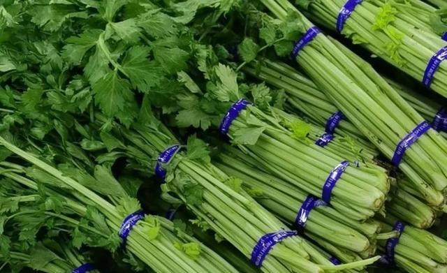 钙质最好的蔬菜,哪些蔬菜有钙质