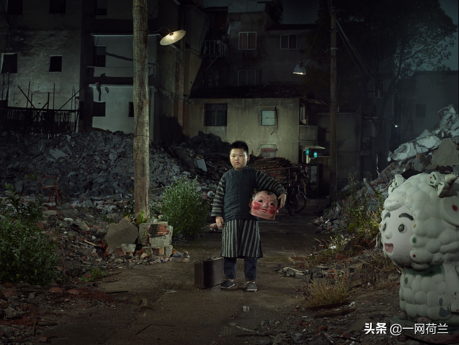 荷兰皇家御用摄影师,荷兰奥拉夫朱顶红