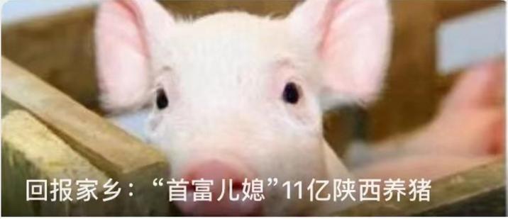 赵步长创业经历,赵步长的三个转折点